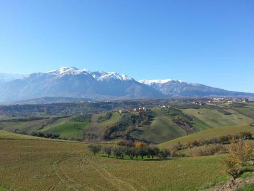 Fattoria Zitumasse Guest House Crecchio Bagian luar foto